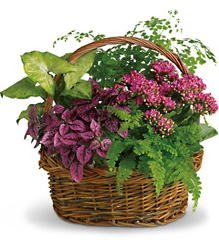 Secret Garden Basket from Brennan's Florist and Fine Gifts in Jersey City